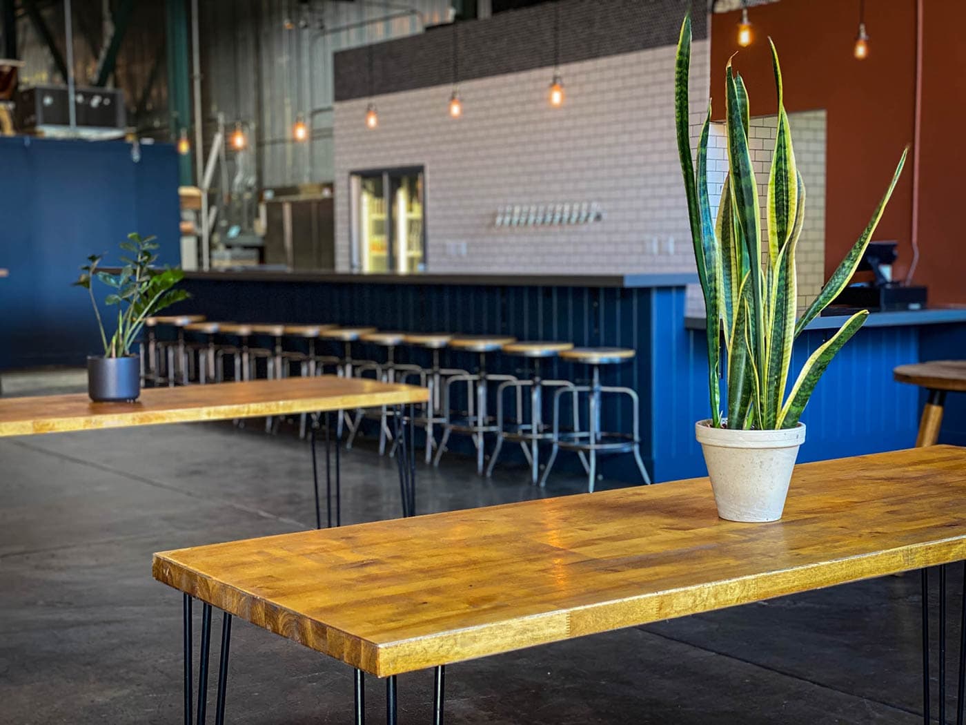 Berkeley Interior With Tables And Bar